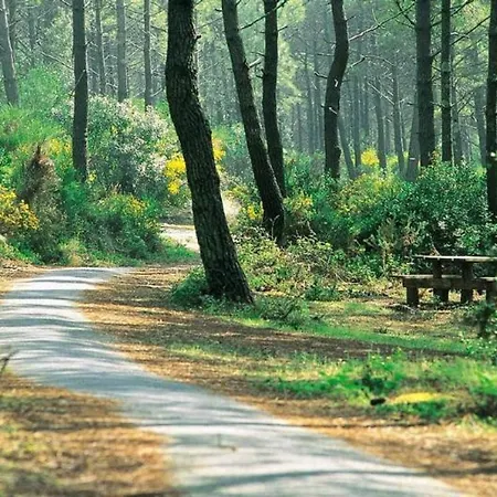 Le Carbet Landais
